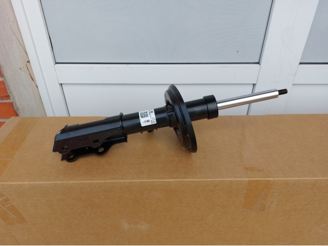 Front Strut, LH